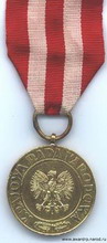 медаль победы и свободы